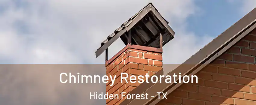 Chimney Restoration Hidden Forest - TX