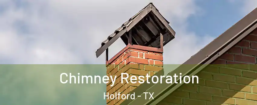 Chimney Restoration Holford - TX