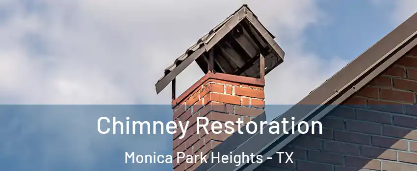 Chimney Restoration Monica Park Heights - TX
