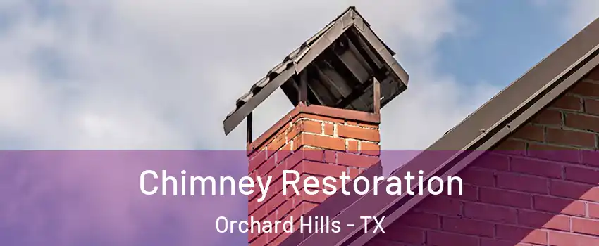 Chimney Restoration Orchard Hills - TX