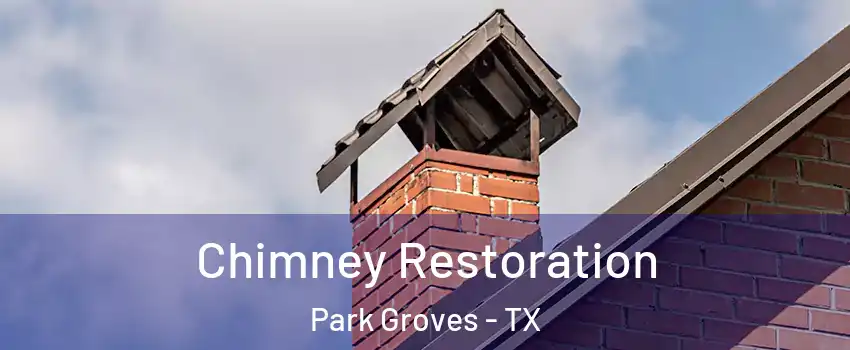 Chimney Restoration Park Groves - TX