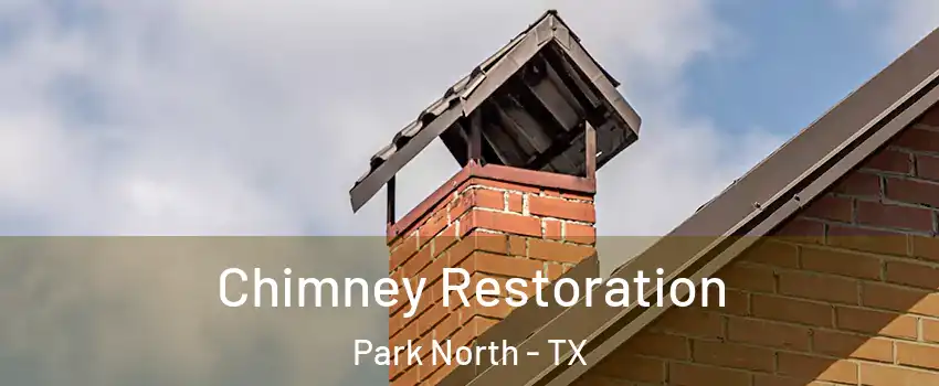 Chimney Restoration Park North - TX
