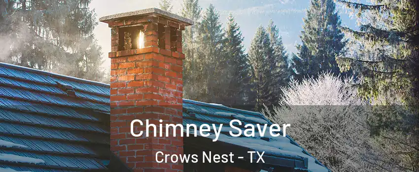 Chimney Saver Crows Nest - TX