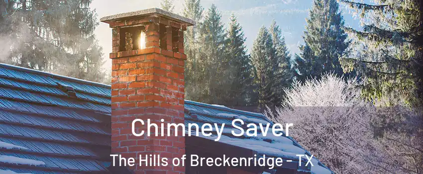 Chimney Saver The Hills of Breckenridge - TX