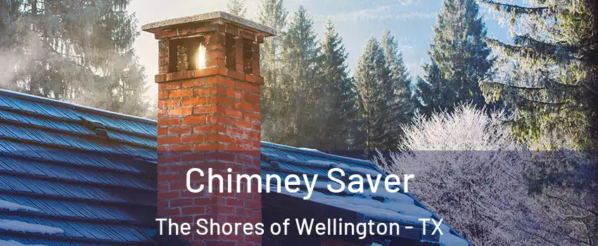 Chimney Saver The Shores of Wellington - TX