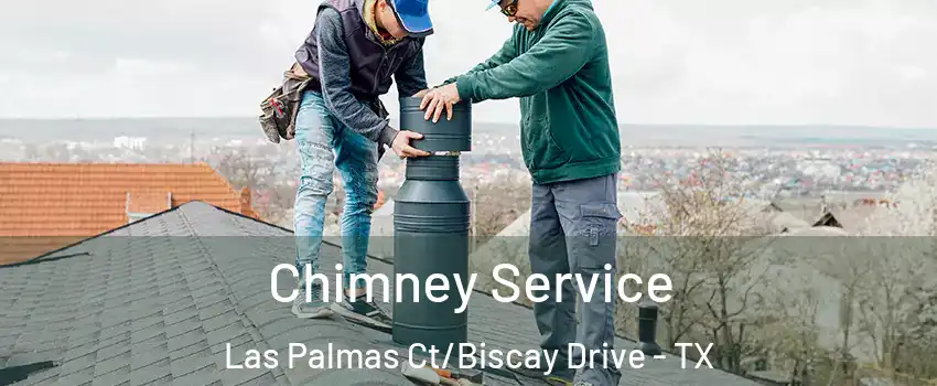 Chimney Service Las Palmas Ct/Biscay Drive - TX
