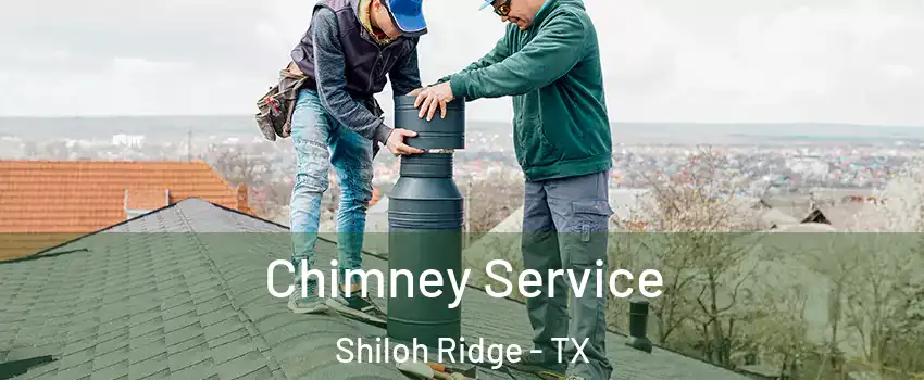 Chimney Service Shiloh Ridge - TX