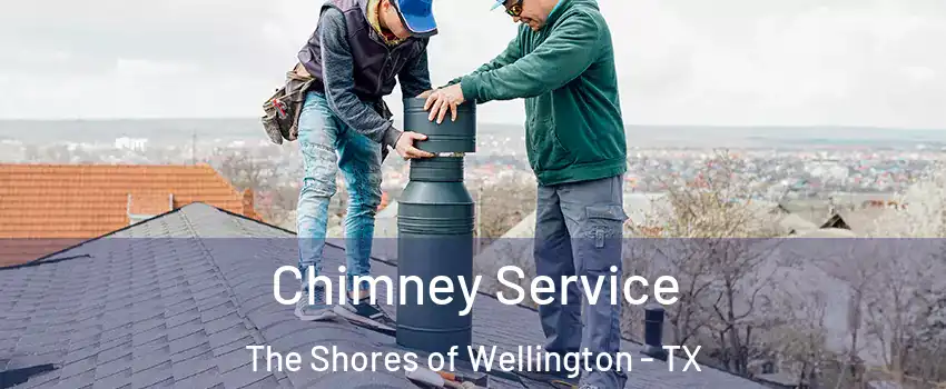 Chimney Service The Shores of Wellington - TX
