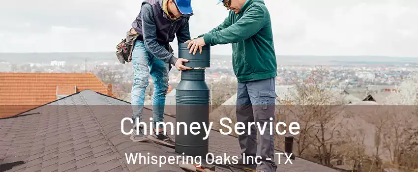 Chimney Service Whispering Oaks Inc - TX