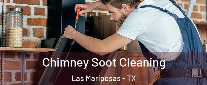 Chimney Soot Cleaning Las Mariposas - TX
