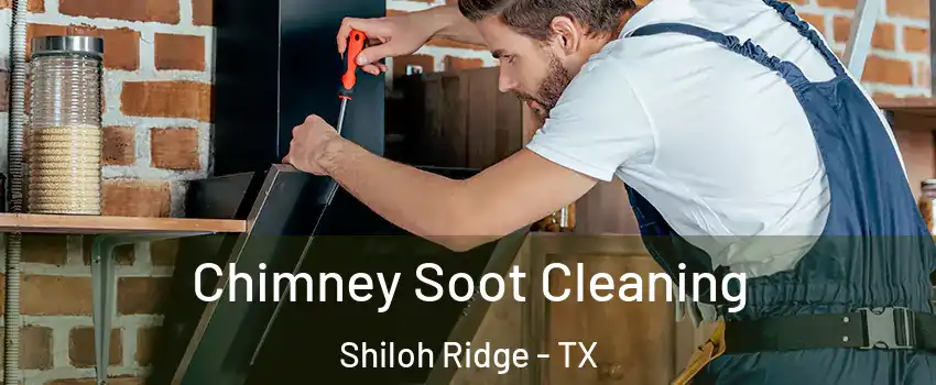 Chimney Soot Cleaning Shiloh Ridge - TX