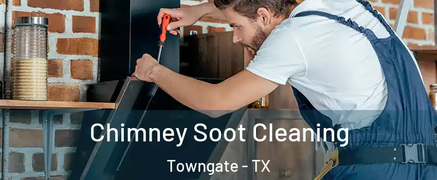Chimney Soot Cleaning Towngate - TX