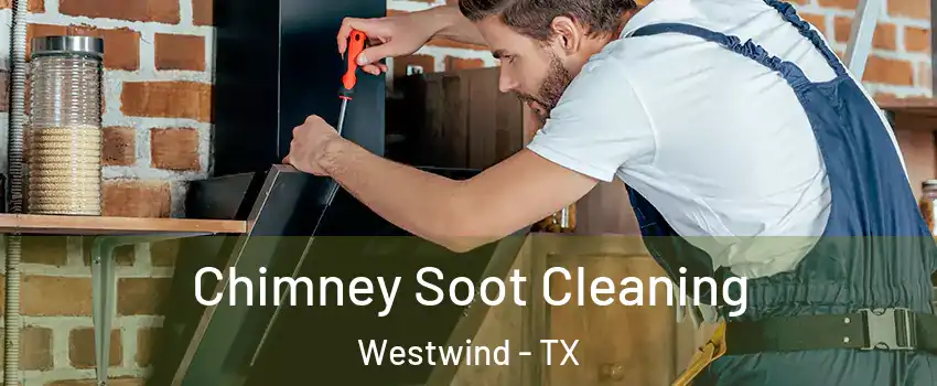 Chimney Soot Cleaning Westwind - TX
