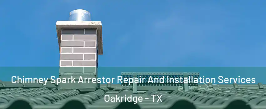 Chimney Spark Arrestor Repair And Installation Services Oakridge - TX