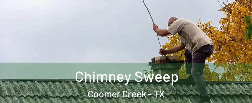 Chimney Sweep Coomer Creek - TX