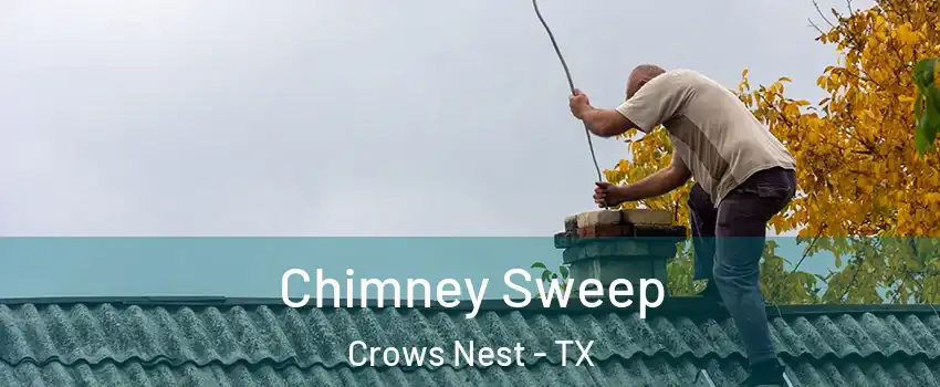 Chimney Sweep Crows Nest - TX