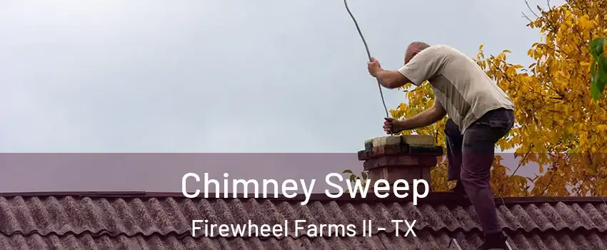 Chimney Sweep Firewheel Farms II - TX