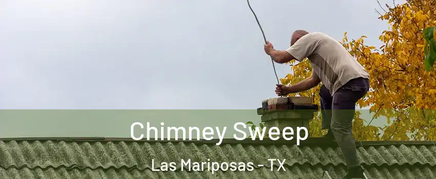 Chimney Sweep Las Mariposas - TX