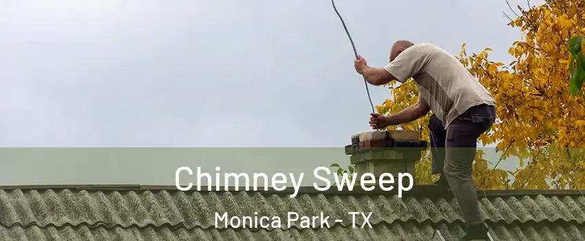 Chimney Sweep Monica Park - TX