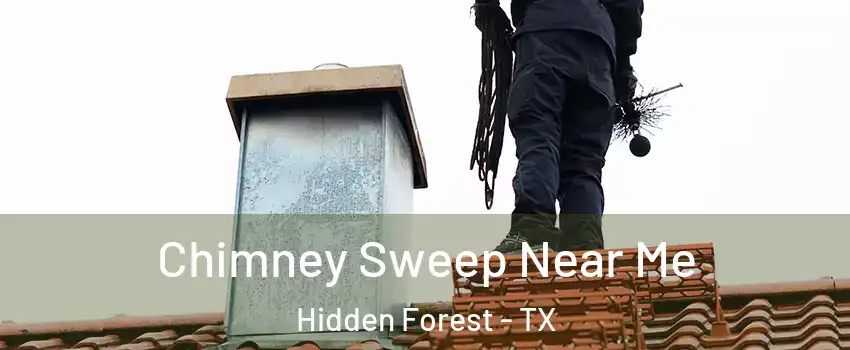 Chimney Sweep Near Me Hidden Forest - TX