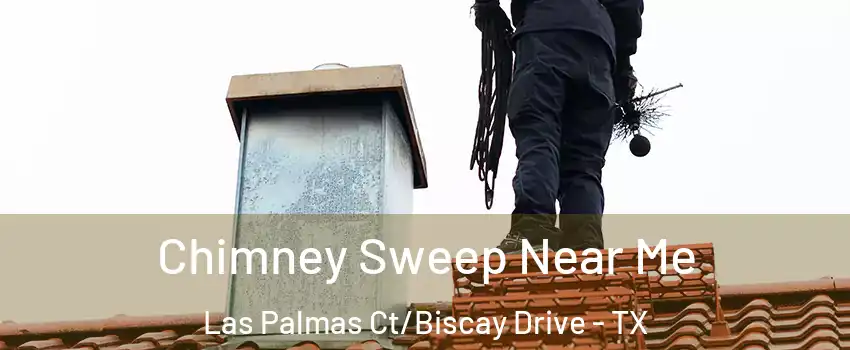 Chimney Sweep Near Me Las Palmas Ct/Biscay Drive - TX