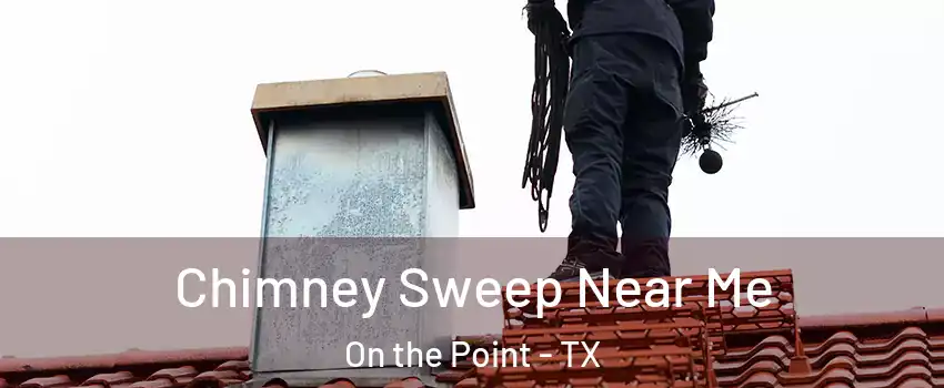 Chimney Sweep Near Me On the Point - TX