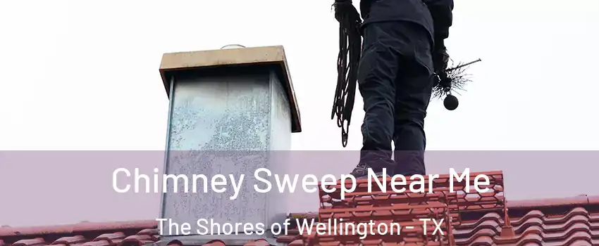 Chimney Sweep Near Me The Shores of Wellington - TX