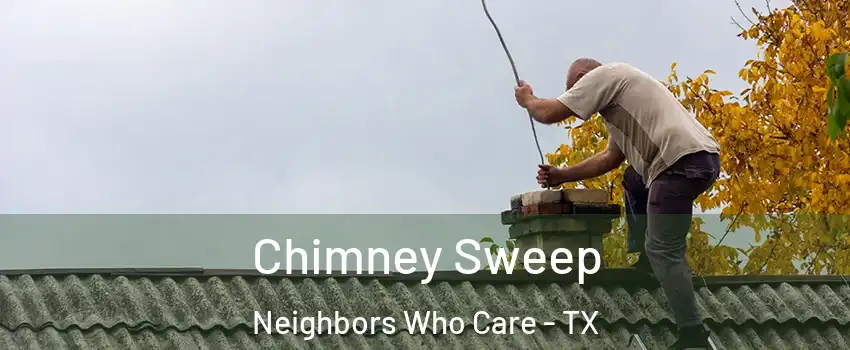 Chimney Sweep Neighbors Who Care - TX