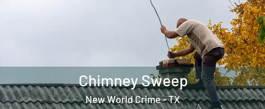 Chimney Sweep New World Crime - TX