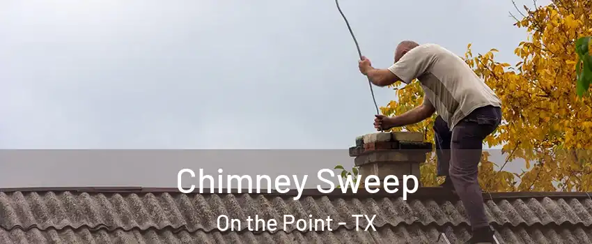 Chimney Sweep On the Point - TX