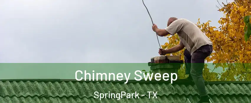 Chimney Sweep SpringPark - TX