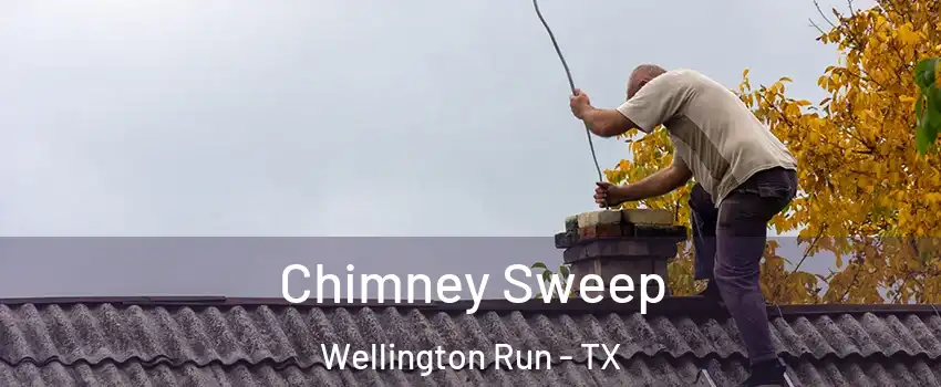 Chimney Sweep Wellington Run - TX