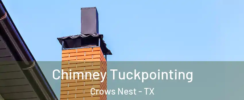 Chimney Tuckpointing Crows Nest - TX