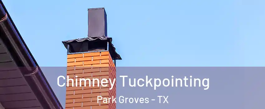 Chimney Tuckpointing Park Groves - TX