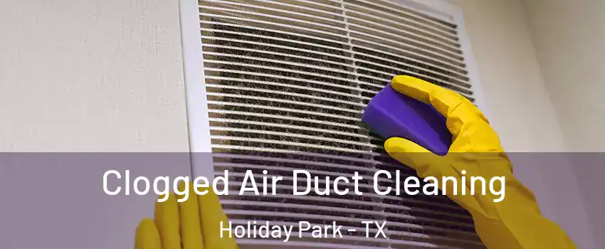 Clogged Air Duct Cleaning Holiday Park - TX