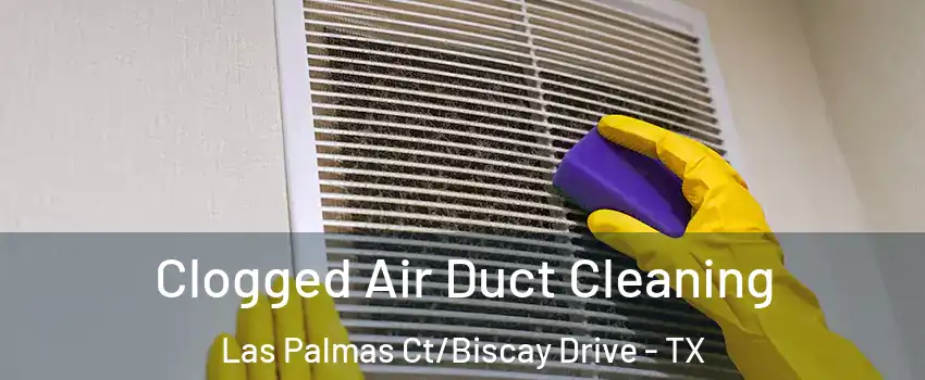 Clogged Air Duct Cleaning Las Palmas Ct/Biscay Drive - TX