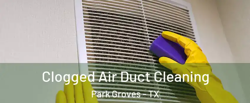 Clogged Air Duct Cleaning Park Groves - TX