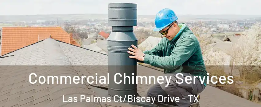 Commercial Chimney Services Las Palmas Ct/Biscay Drive - TX