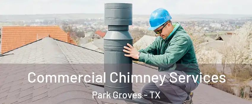 Commercial Chimney Services Park Groves - TX