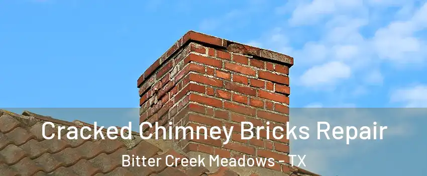 Cracked Chimney Bricks Repair Bitter Creek Meadows - TX