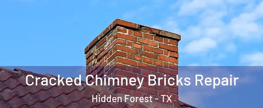 Cracked Chimney Bricks Repair Hidden Forest - TX