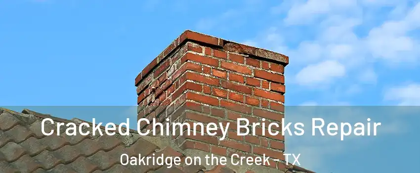 Cracked Chimney Bricks Repair Oakridge on the Creek - TX