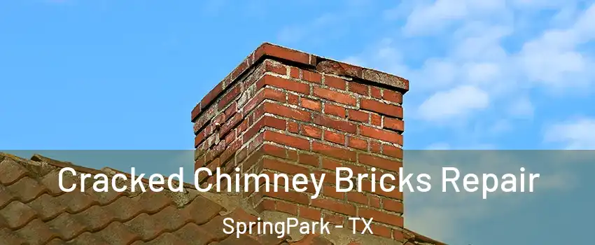 Cracked Chimney Bricks Repair SpringPark - TX