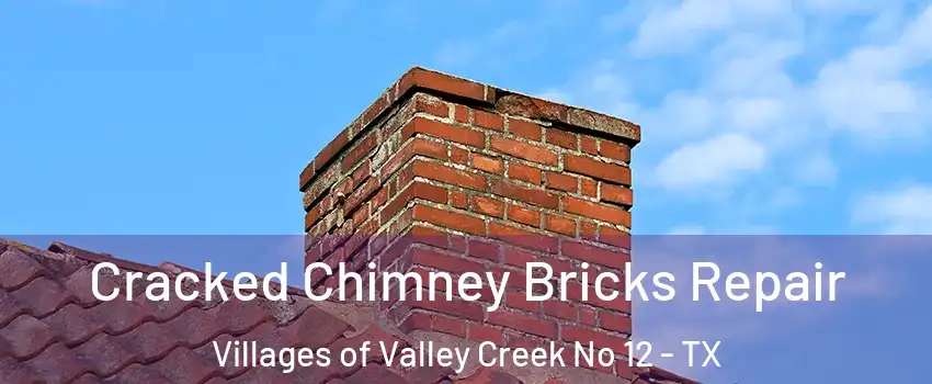 Cracked Chimney Bricks Repair Villages of Valley Creek No 12 - TX