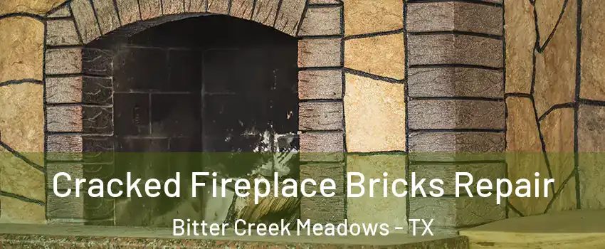 Cracked Fireplace Bricks Repair Bitter Creek Meadows - TX