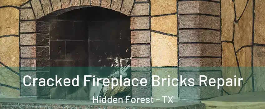 Cracked Fireplace Bricks Repair Hidden Forest - TX