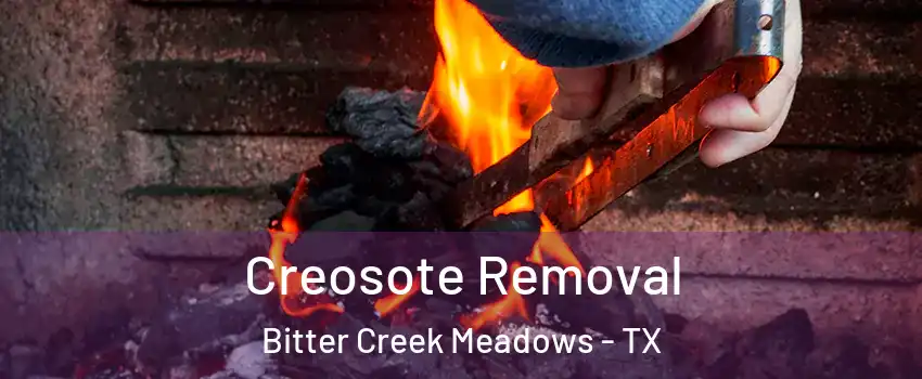 Creosote Removal Bitter Creek Meadows - TX