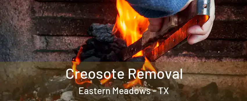 Creosote Removal Eastern Meadows - TX