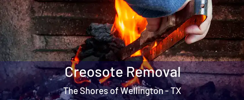 Creosote Removal The Shores of Wellington - TX