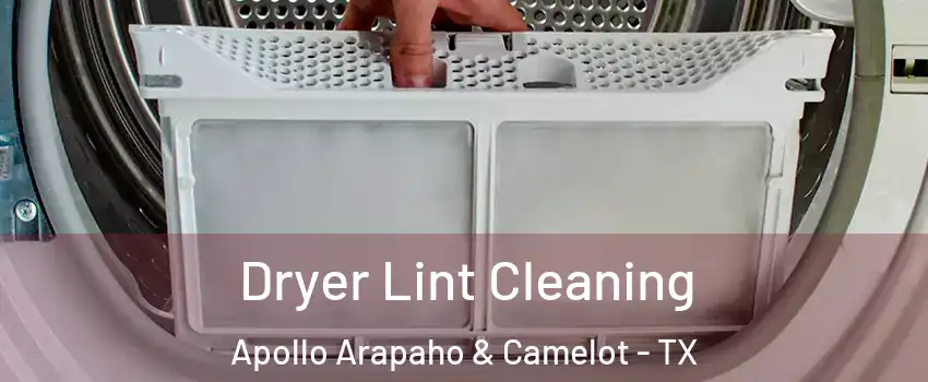 Dryer Lint Cleaning Apollo Arapaho & Camelot - TX